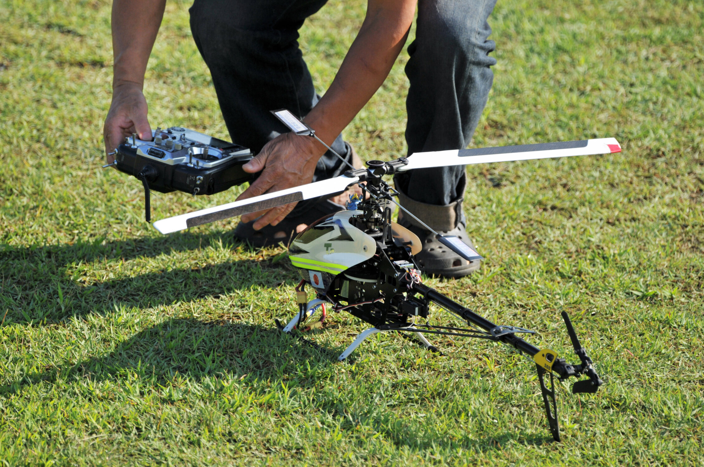 visuel événement lys lez lannoy